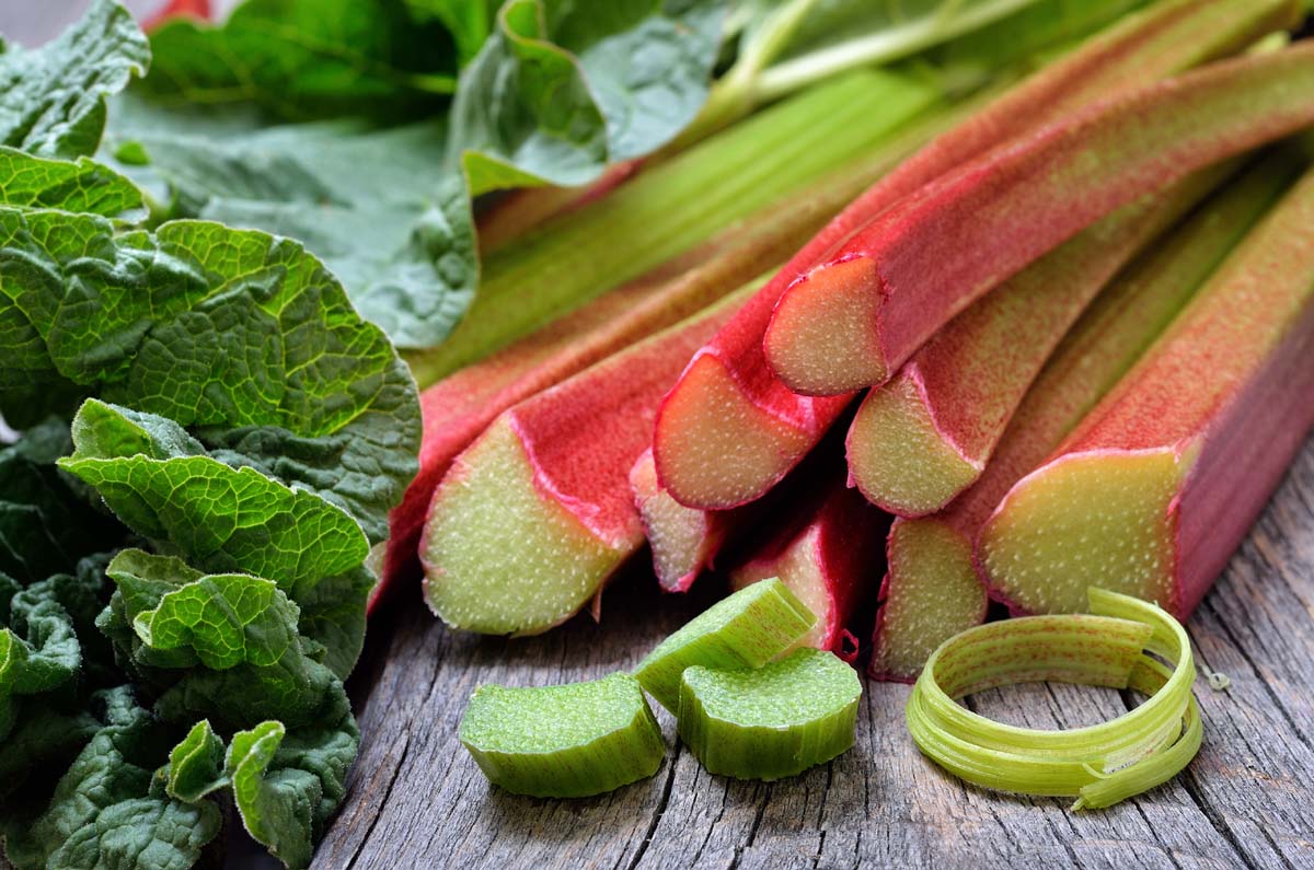 Rhubarb: A Culinary, Medicinal, and Historical Marvel