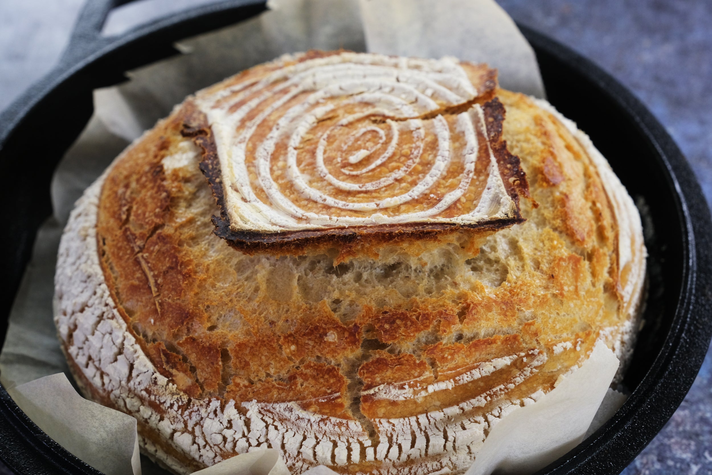 Cast Iron Skillet (EXTRA DEEP) - 10.25"-Inch (26 cm) with Skillet Lid, Frying Pans + Silicone Handle Holder Covers - Oven Safe Cookware - Indoor/Outdoor Use - Use on any Stovetop, Grill, Induction Safe