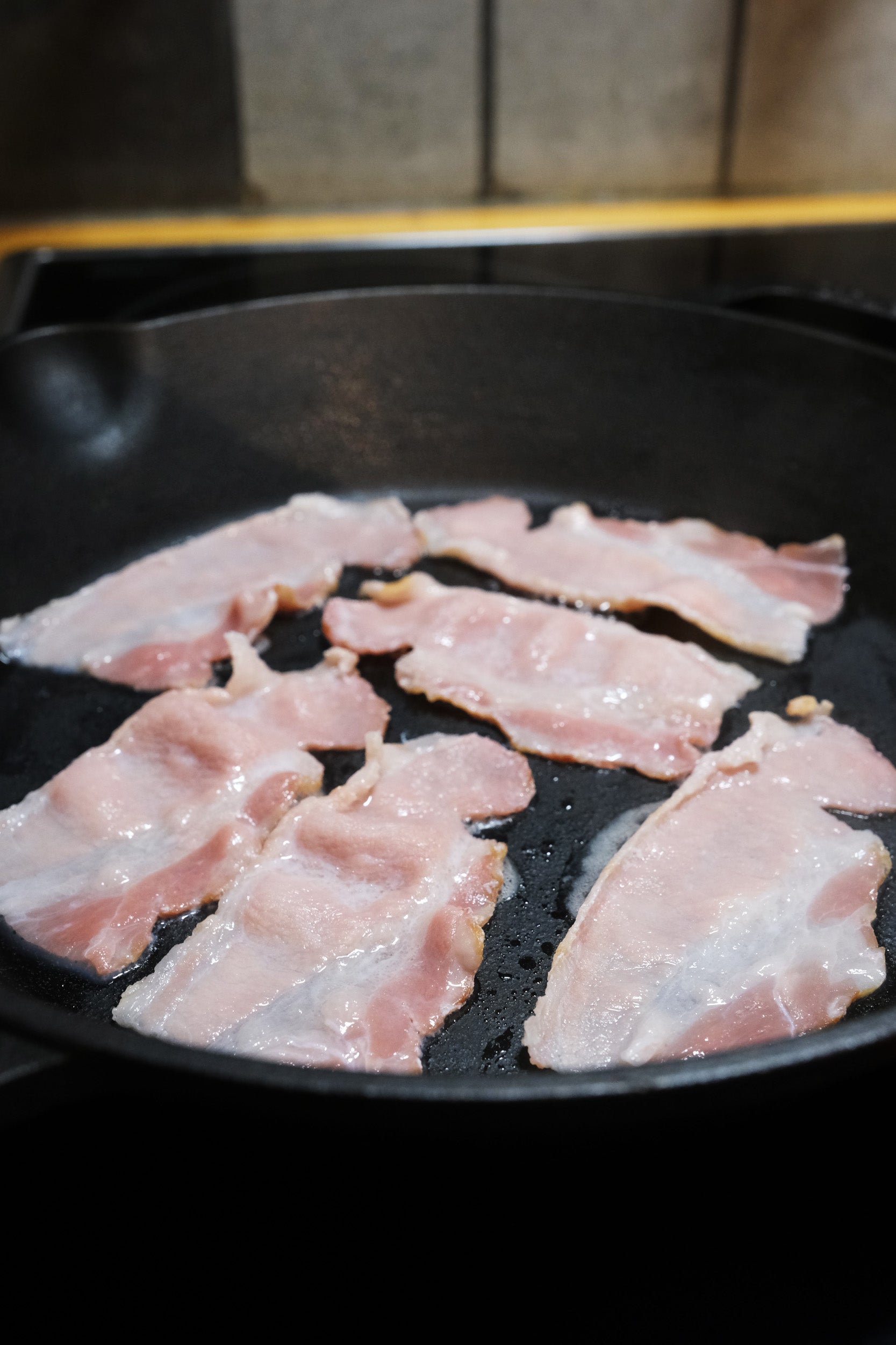 10.25-Inch/26 cm Cast Iron Skillet Set with Dual Loop Handles, Frying Pan, Silicone Potholders