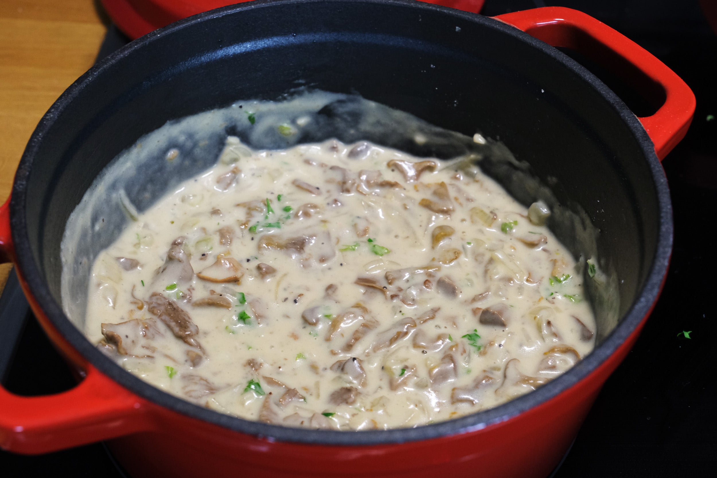 Enameled Cast Iron Dutch Oven Pot, Cocotte (7.87" / 20 cm diameter) Casserole Dish - Round Red