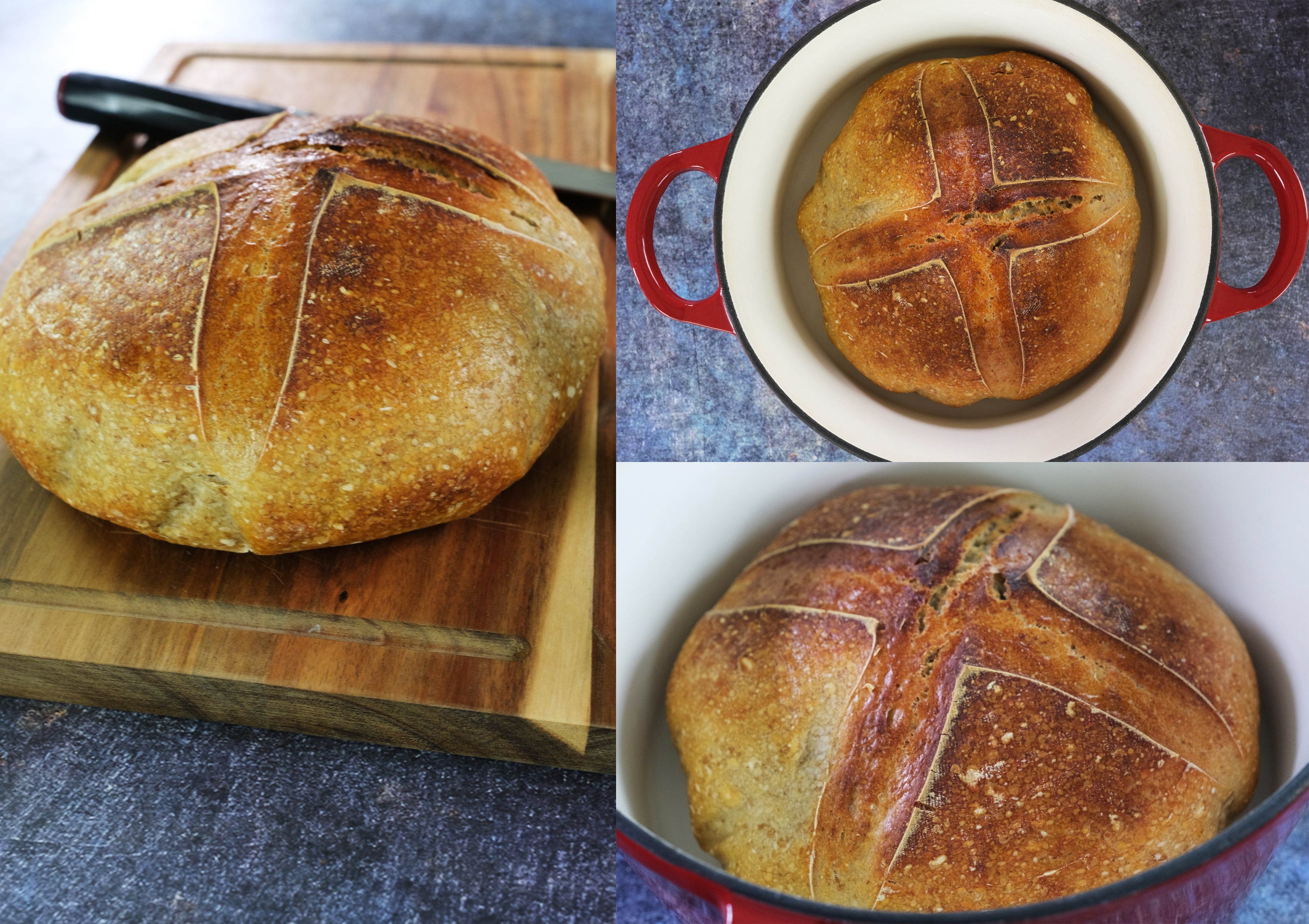 Enameled Cast Iron Dutch Oven Pot, Cocotte, Casserole Dish - Round Red 10.23" (26 cm)